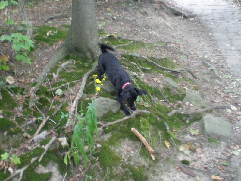 sraz 2008 22