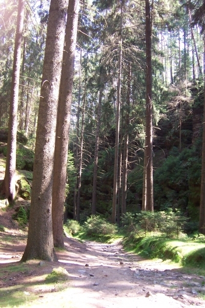 Sraz 2009_69