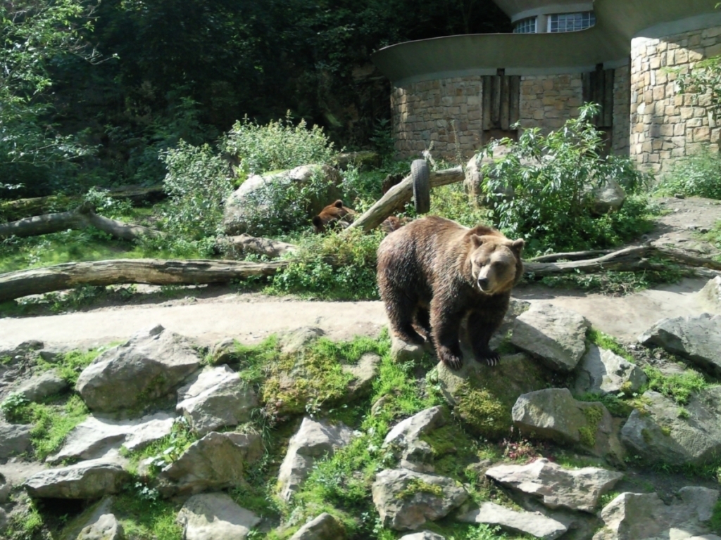 Sraz 2010_35