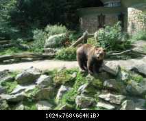 Sraz 2010_35